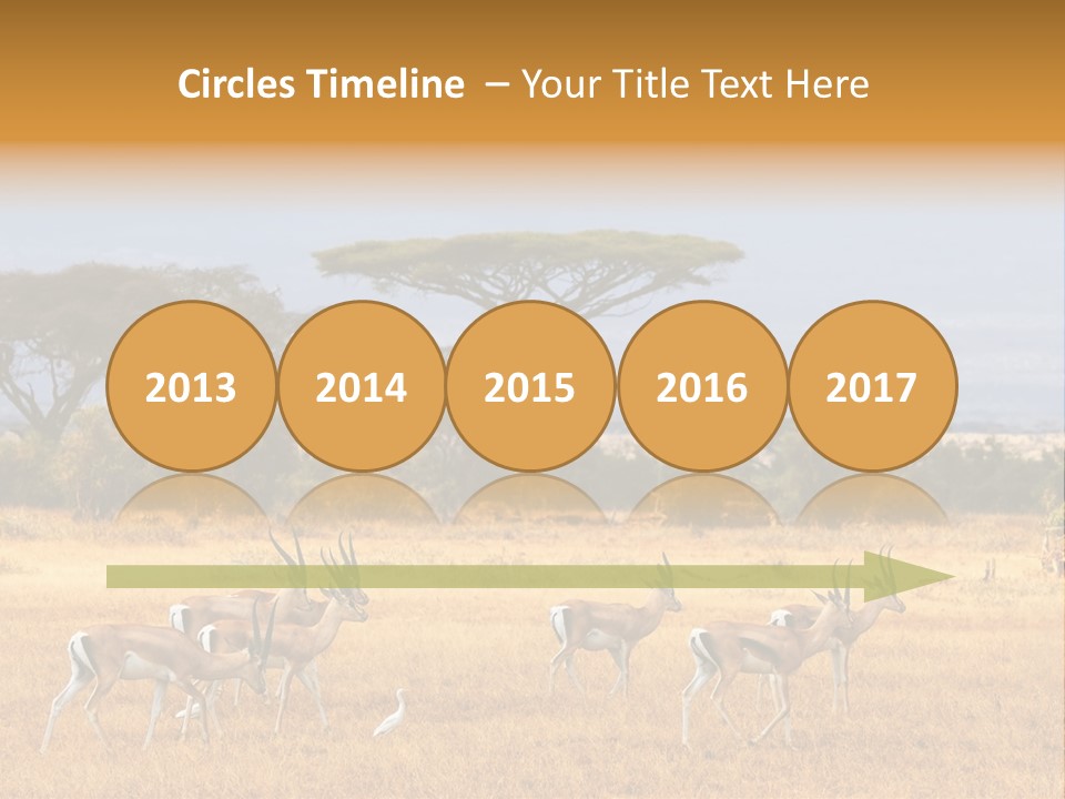 African Savannah PowerPoint Template