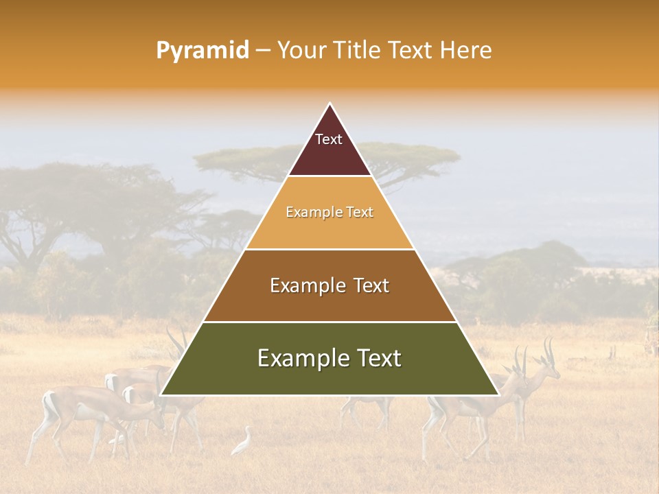 African Savannah PowerPoint Template