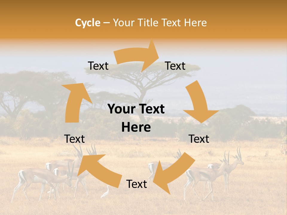 African Savannah PowerPoint Template