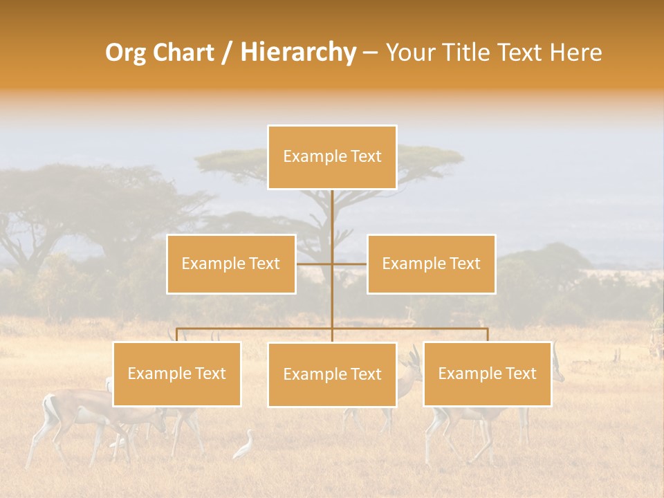 African Savannah PowerPoint Template