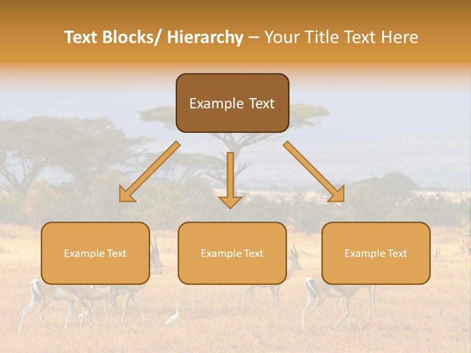 African Savannah PowerPoint Template