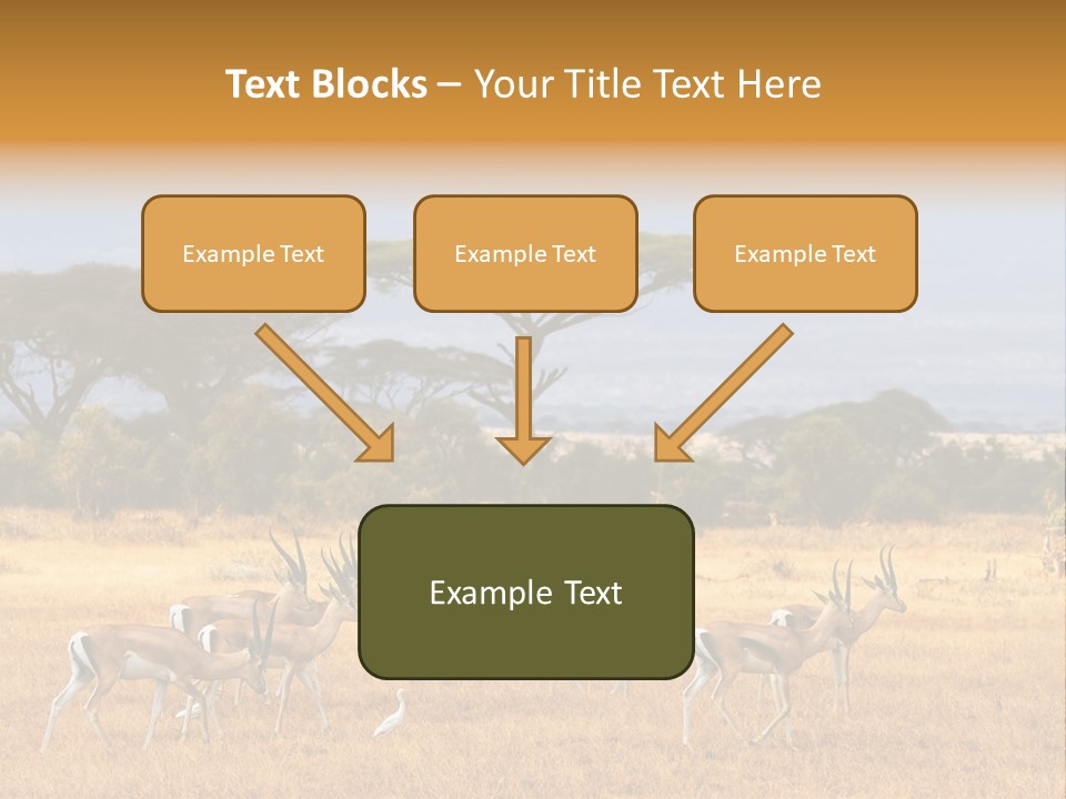 African Savannah PowerPoint Template