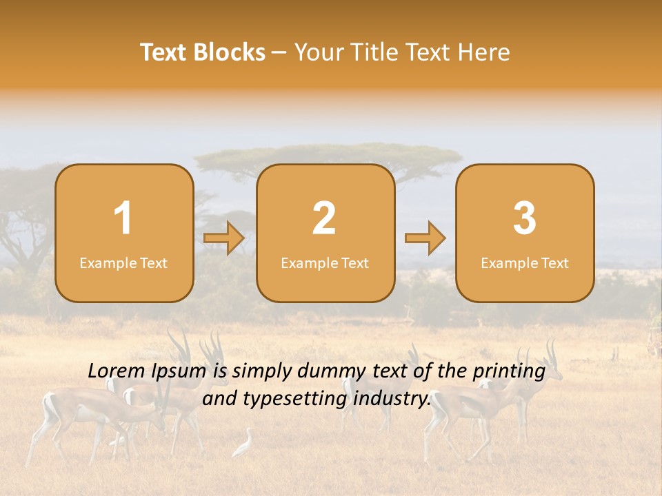 African Savannah PowerPoint Template