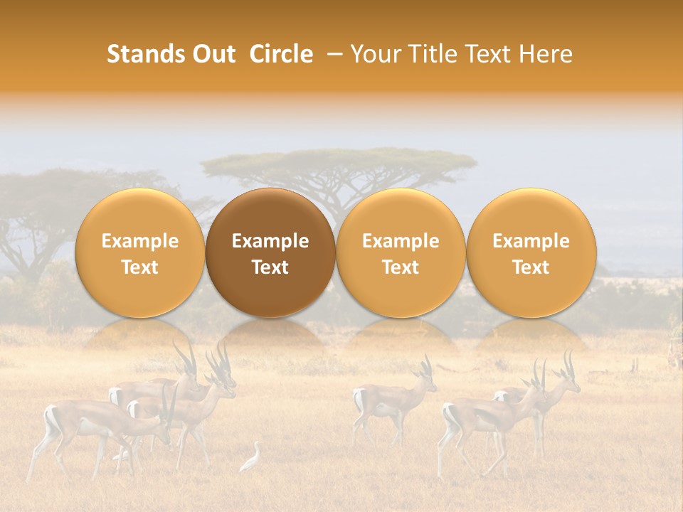 African Savannah PowerPoint Template