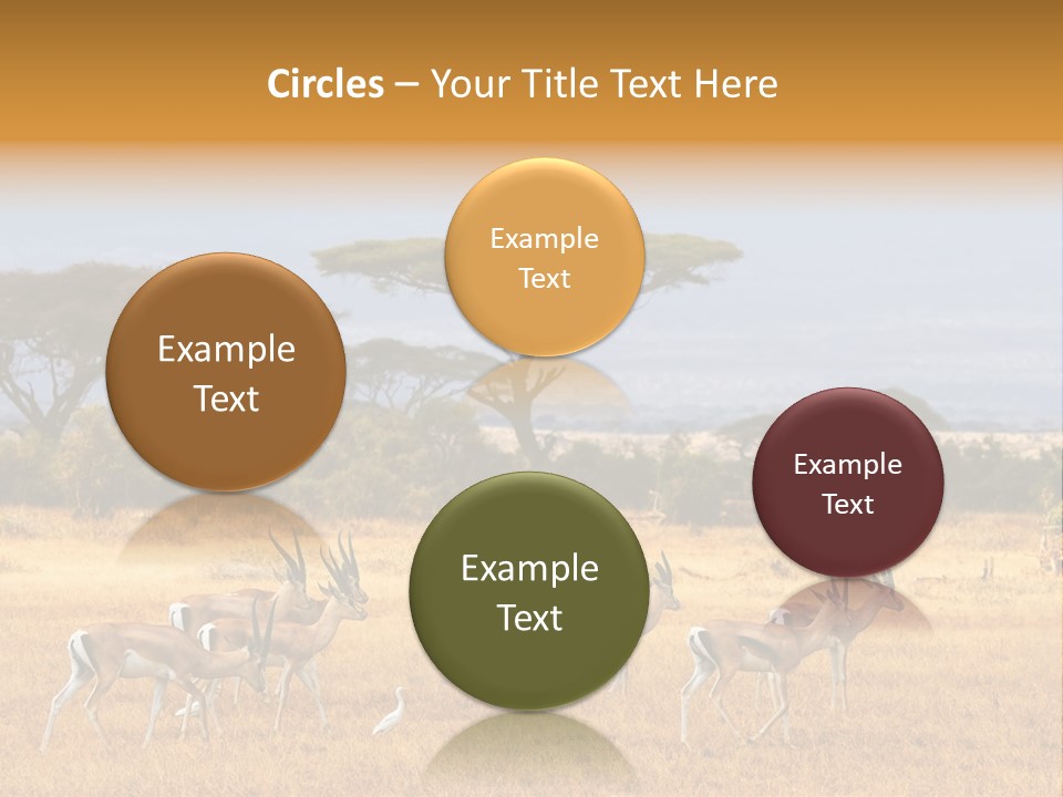 African Savannah PowerPoint Template