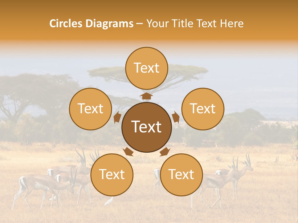 African Savannah PowerPoint Template