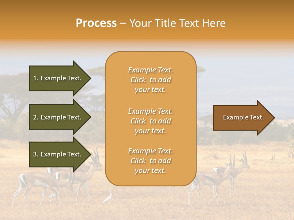 African Savannah PowerPoint Template
