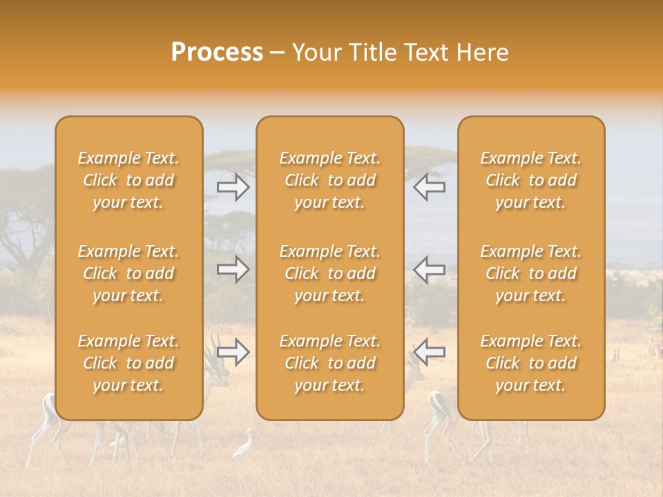 African Savannah PowerPoint Template
