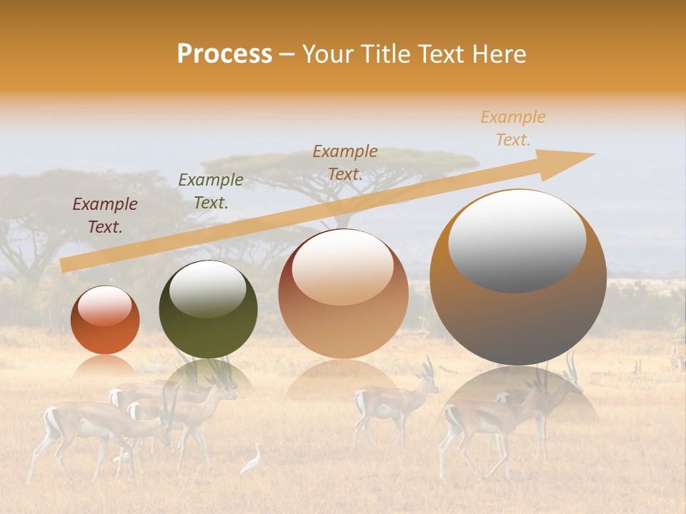 African Savannah PowerPoint Template