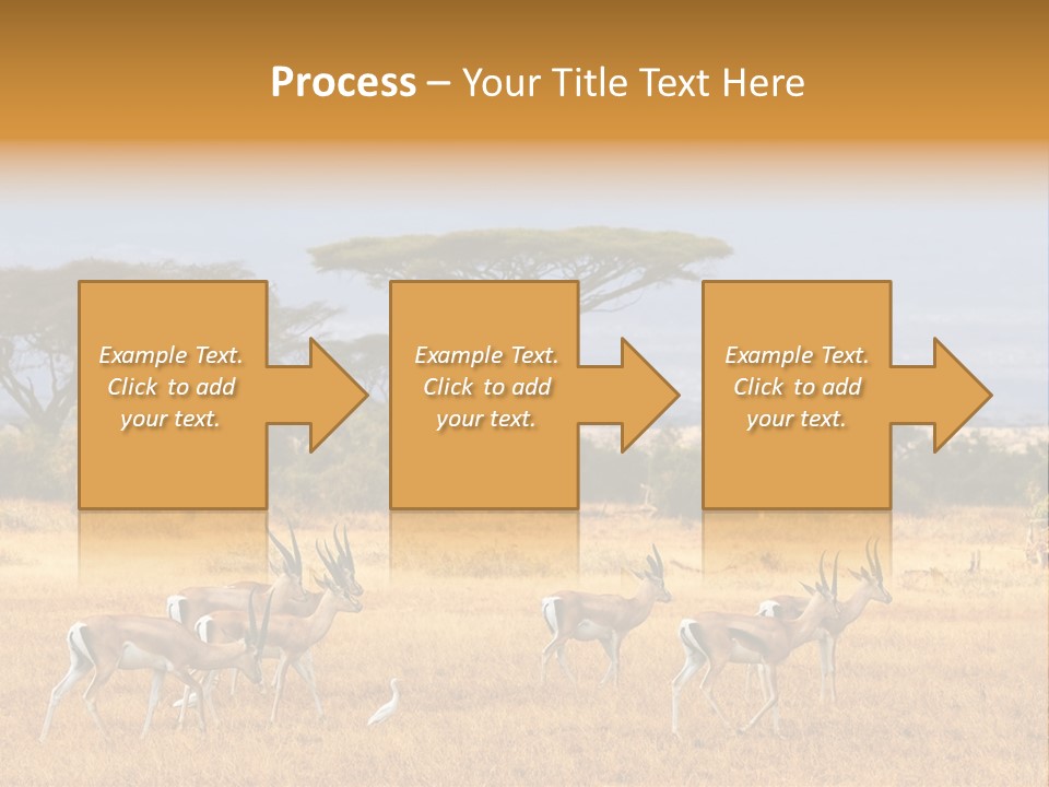 African Savannah PowerPoint Template