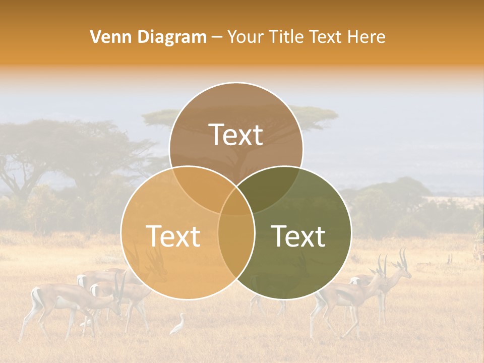 African Savannah PowerPoint Template
