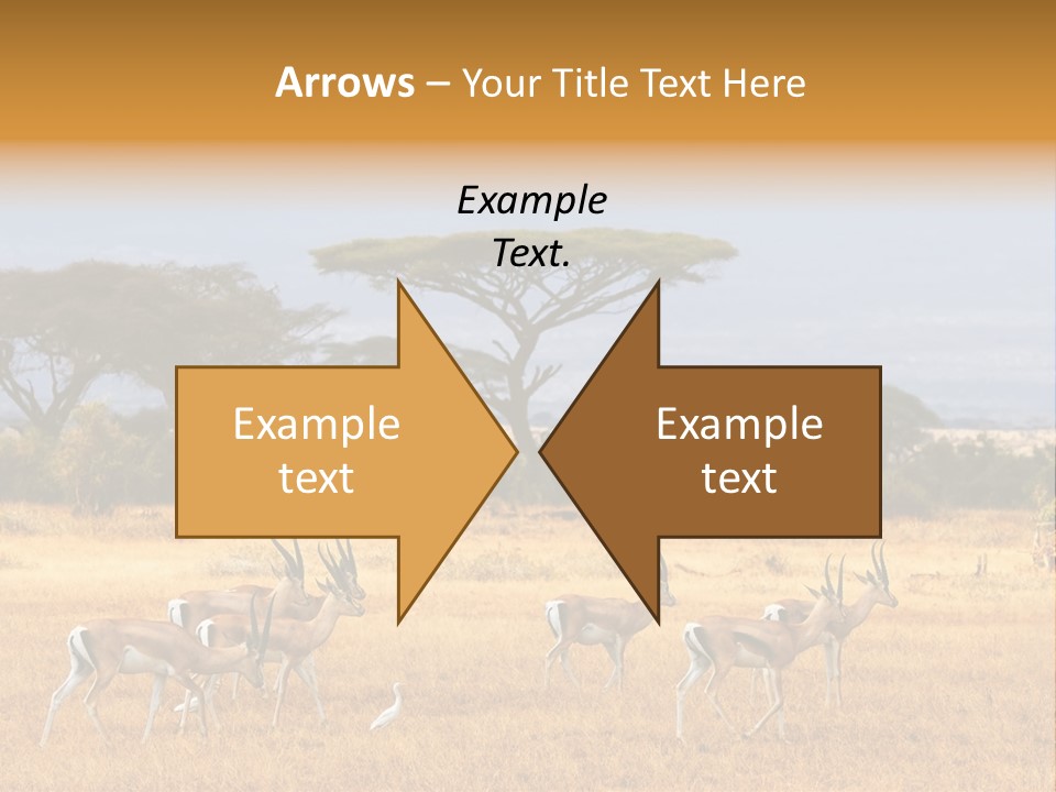 African Savannah PowerPoint Template