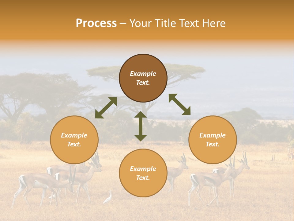 African Savannah PowerPoint Template