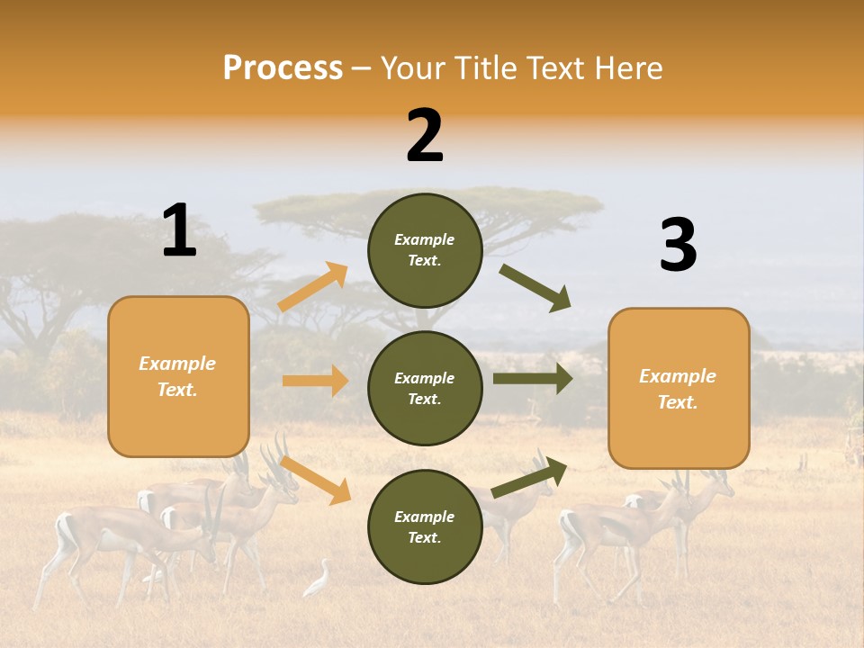 African Savannah PowerPoint Template