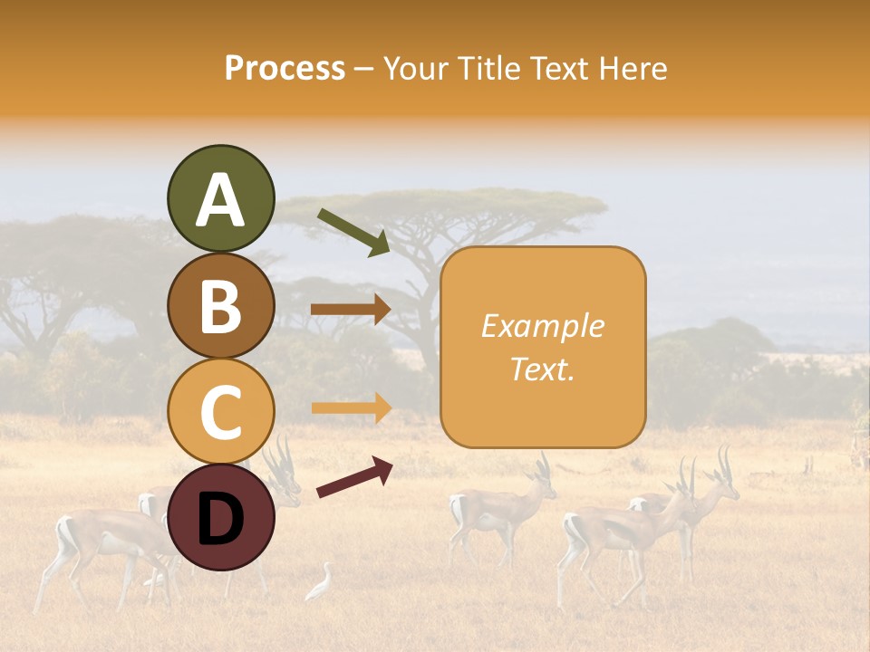 African Savannah PowerPoint Template