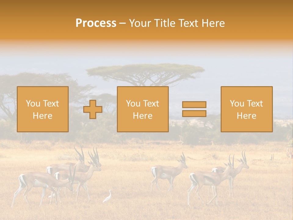 African Savannah PowerPoint Template