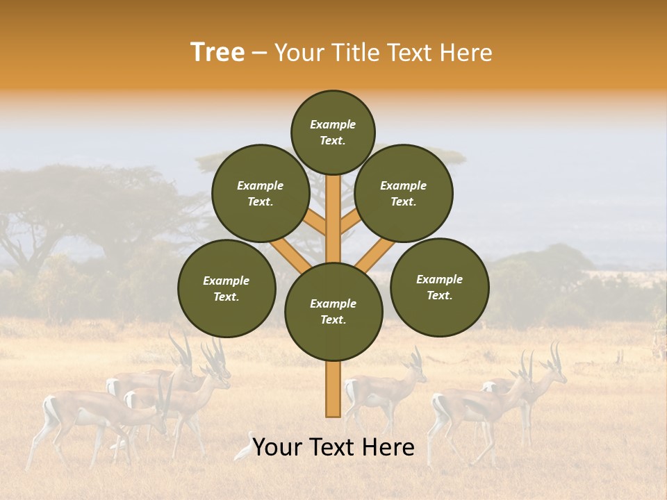 African Savannah PowerPoint Template