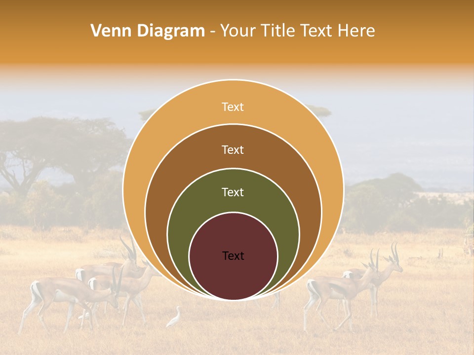 African Savannah PowerPoint Template