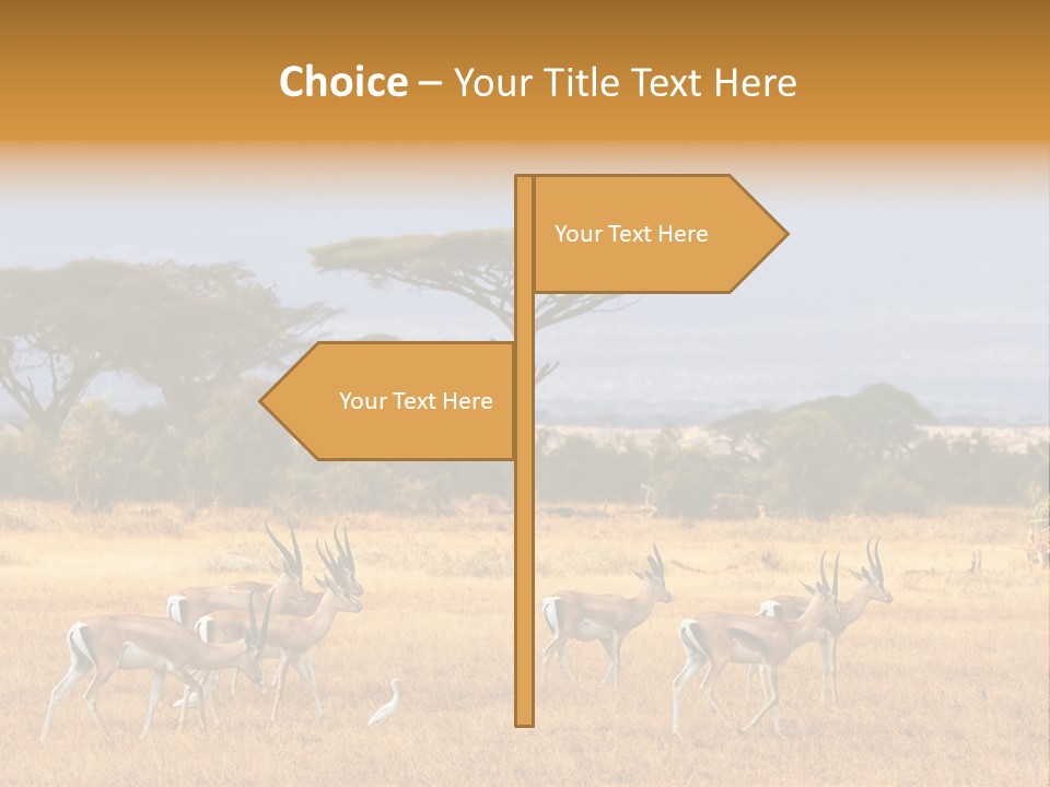African Savannah PowerPoint Template
