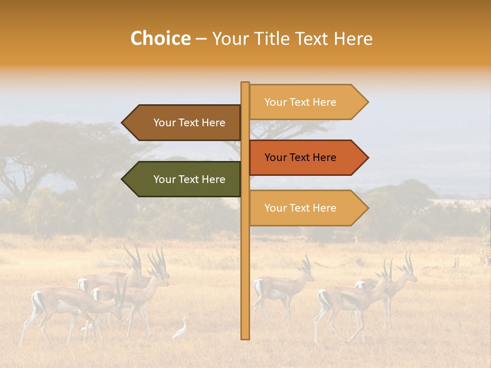 African Savannah PowerPoint Template