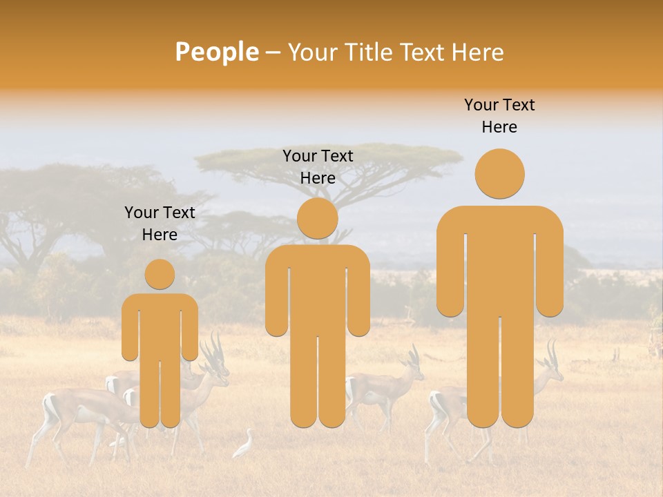 African Savannah PowerPoint Template