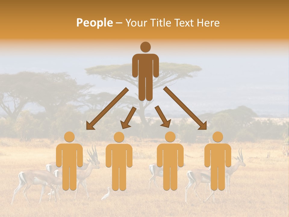 African Savannah PowerPoint Template