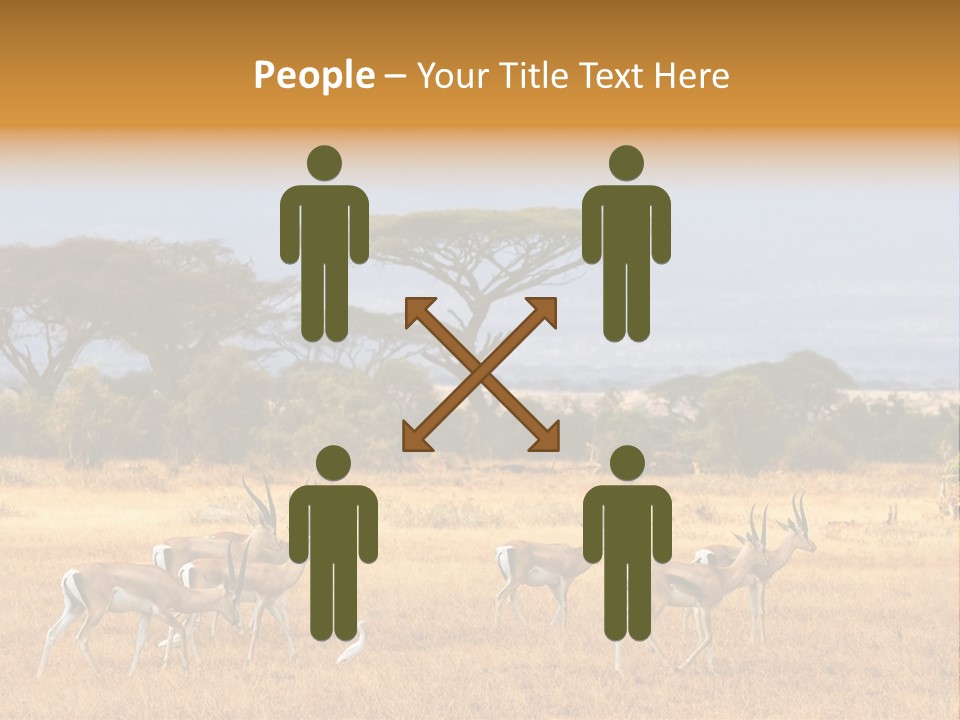 African Savannah PowerPoint Template