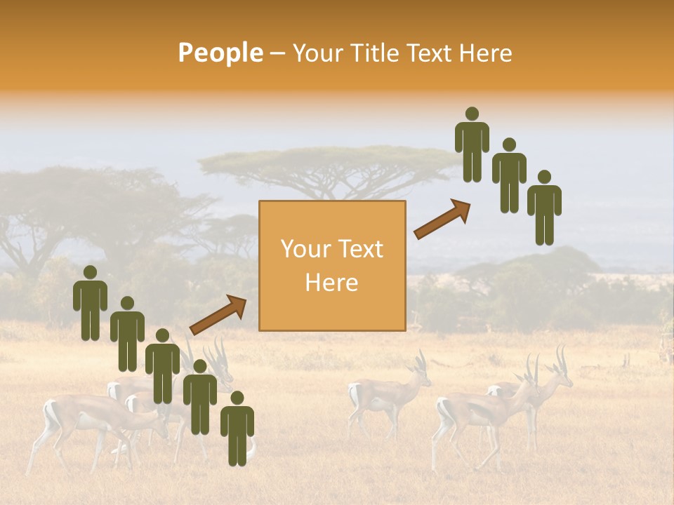 African Savannah PowerPoint Template