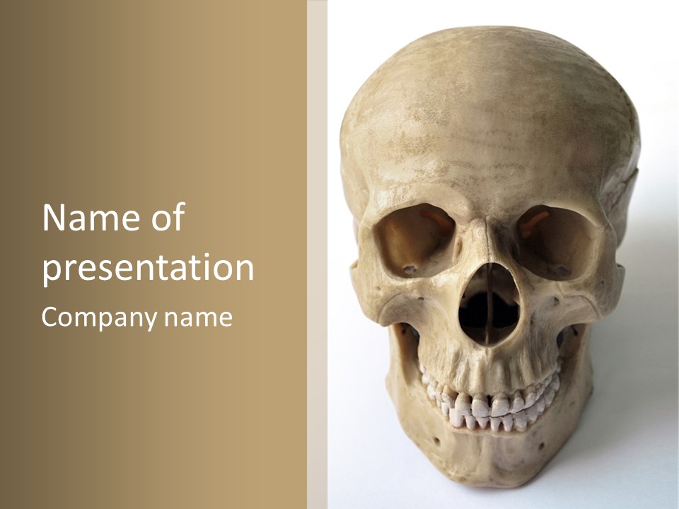 Human Skull PowerPoint Template