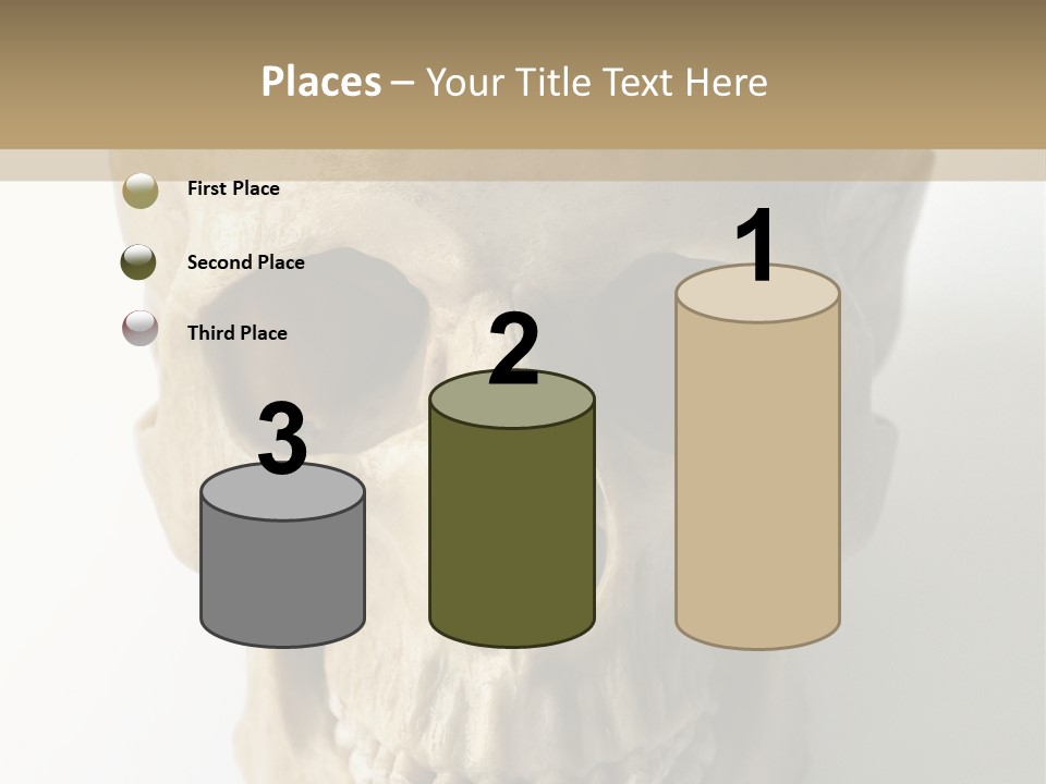 Human Skull PowerPoint Template