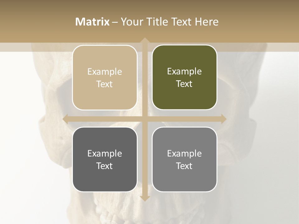 Human Skull PowerPoint Template