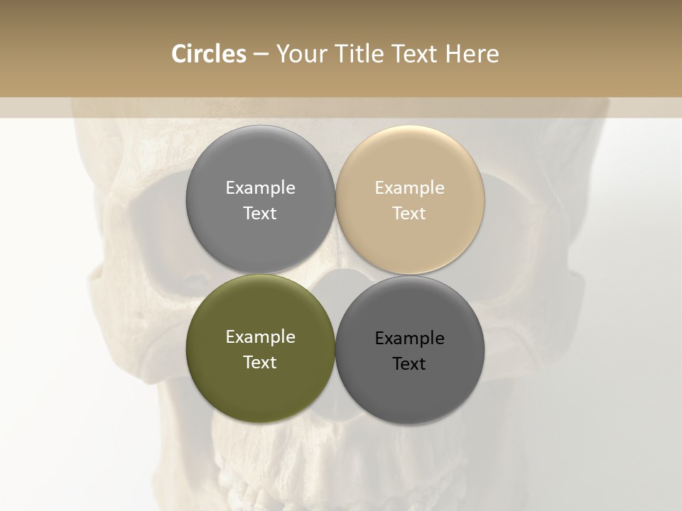 Human Skull PowerPoint Template