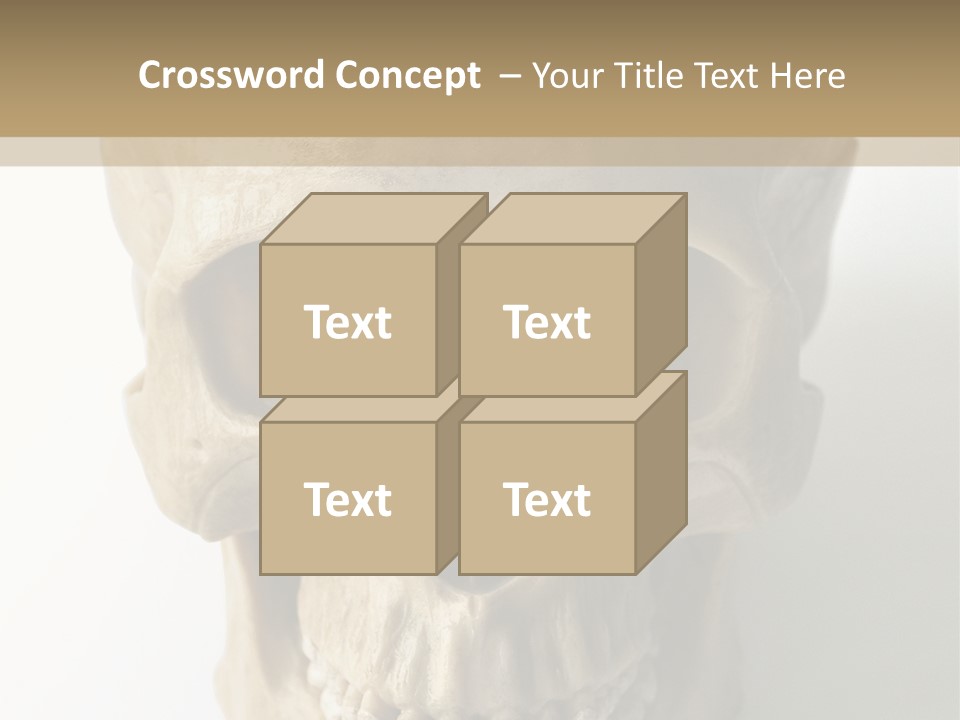 Human Skull PowerPoint Template