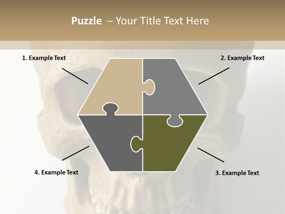 Human Skull PowerPoint Template
