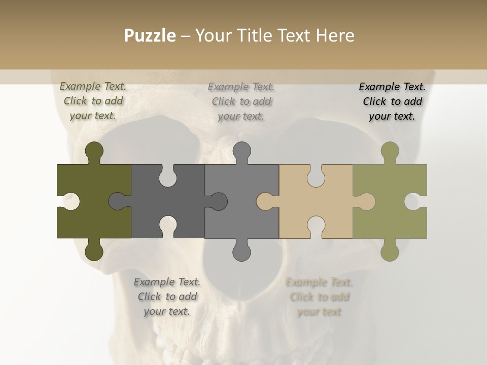 Human Skull PowerPoint Template