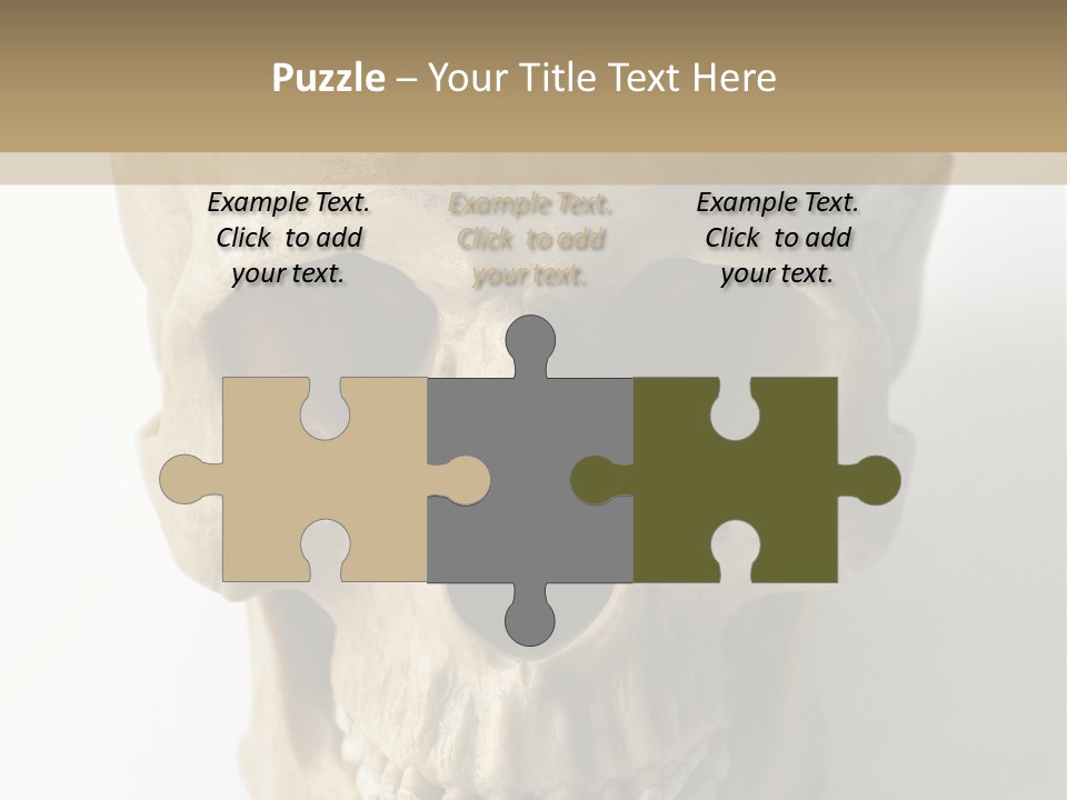 Human Skull PowerPoint Template