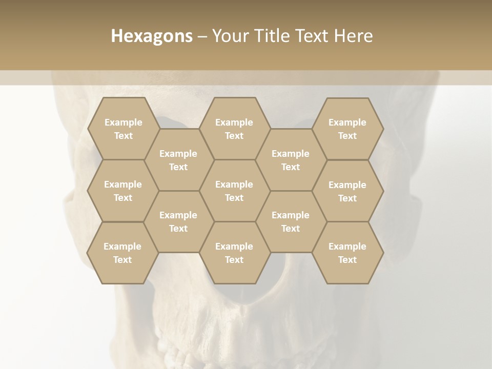 Human Skull PowerPoint Template