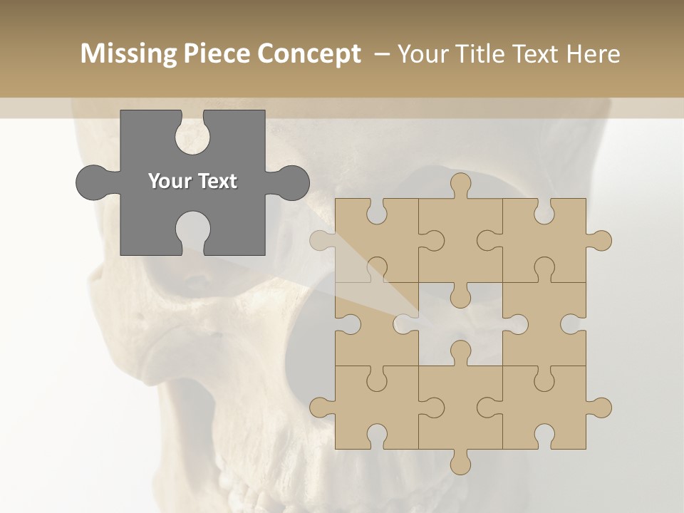 Human Skull PowerPoint Template