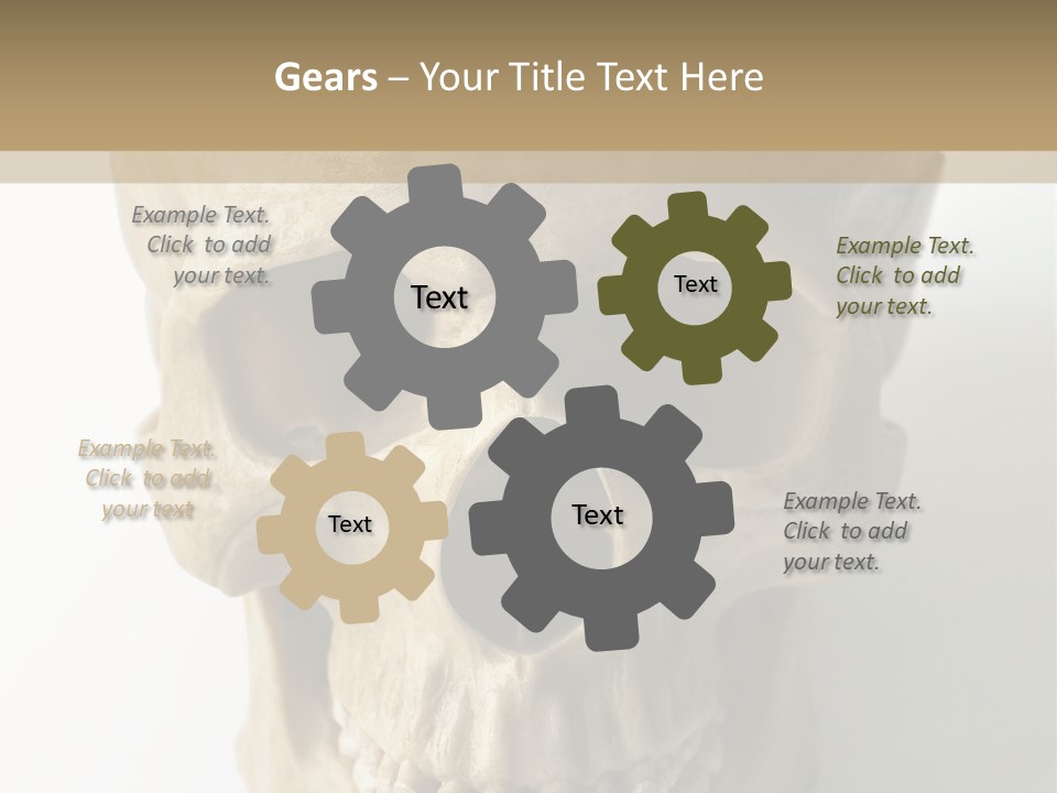 Human Skull PowerPoint Template
