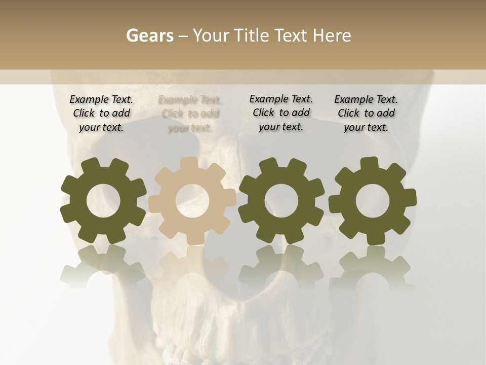 Human Skull PowerPoint Template