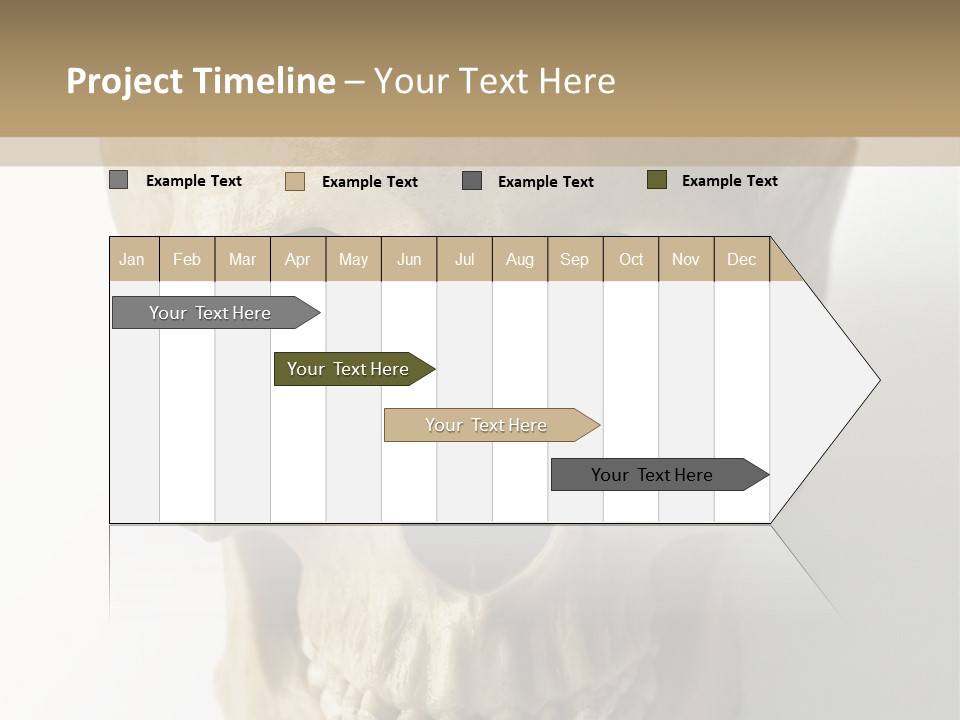 Human Skull PowerPoint Template