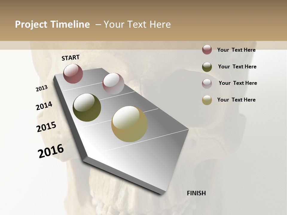 Human Skull PowerPoint Template