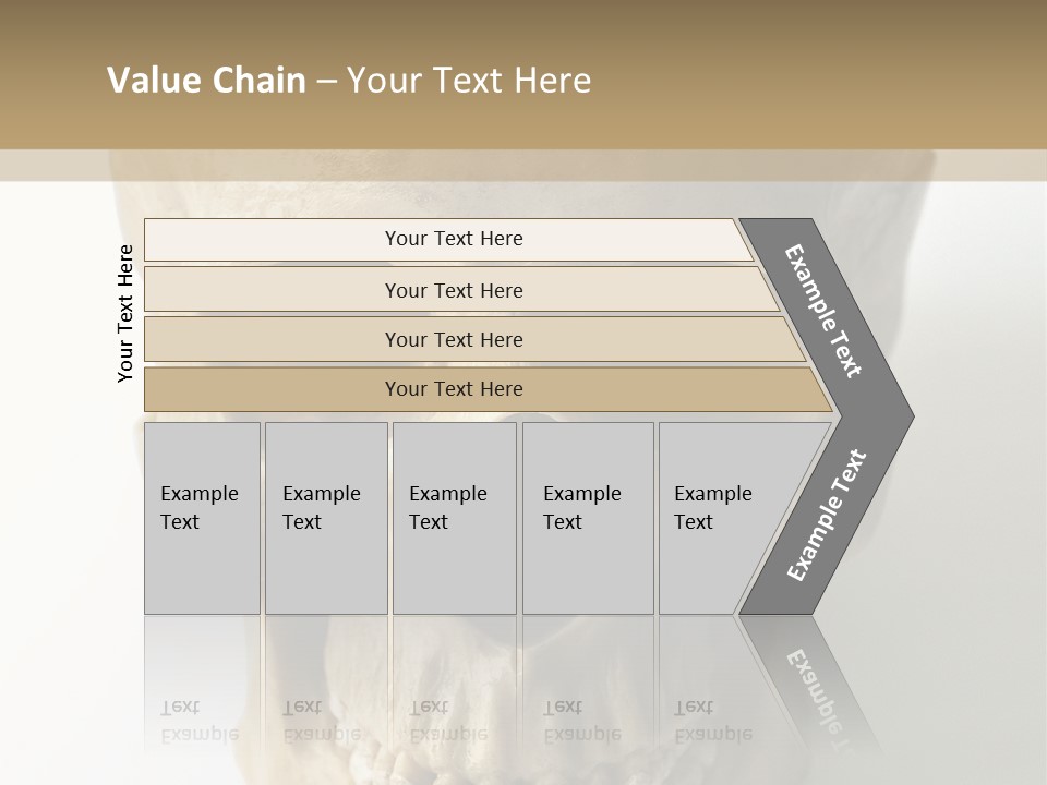 Human Skull PowerPoint Template