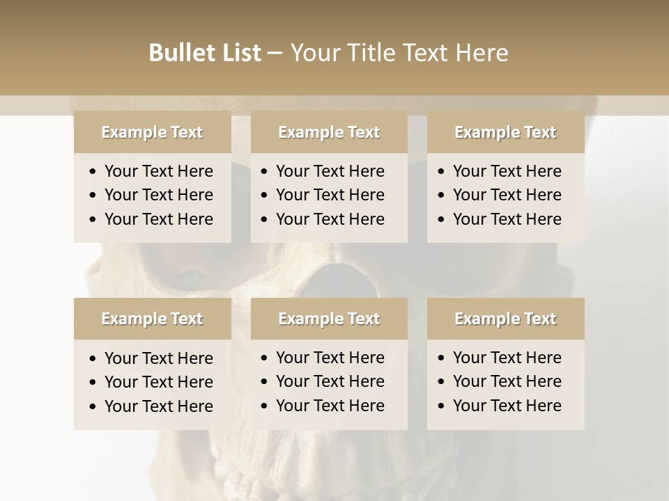 Human Skull PowerPoint Template