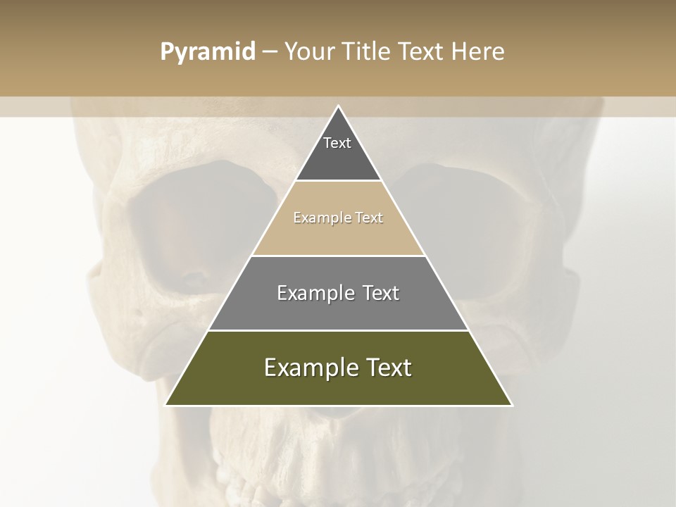 Human Skull PowerPoint Template
