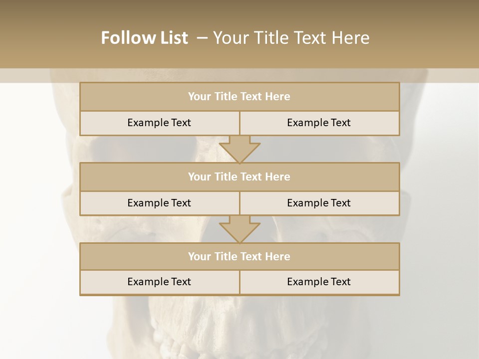 Human Skull PowerPoint Template