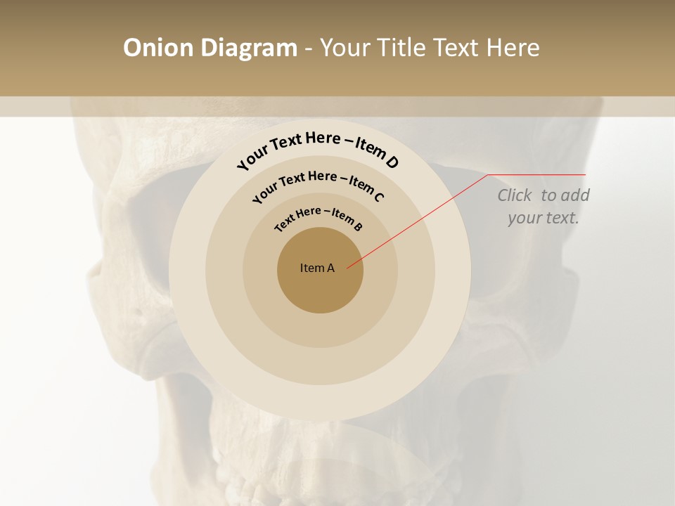 Human Skull PowerPoint Template