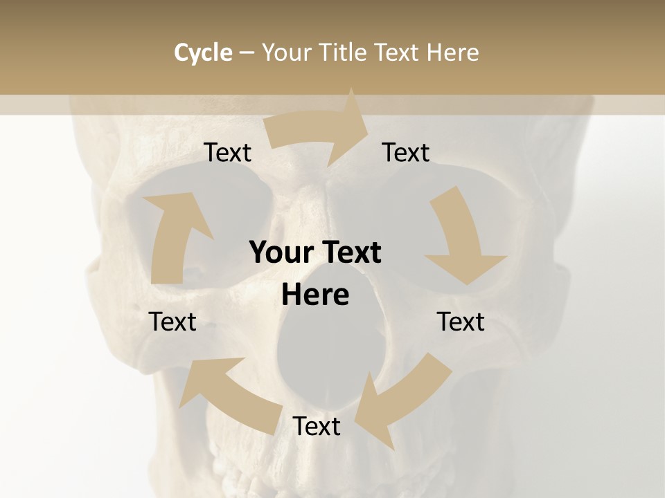 Human Skull PowerPoint Template