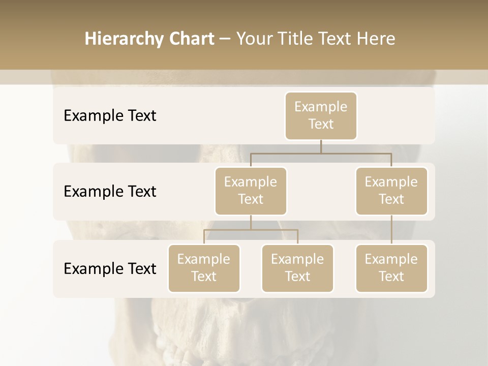 Human Skull PowerPoint Template