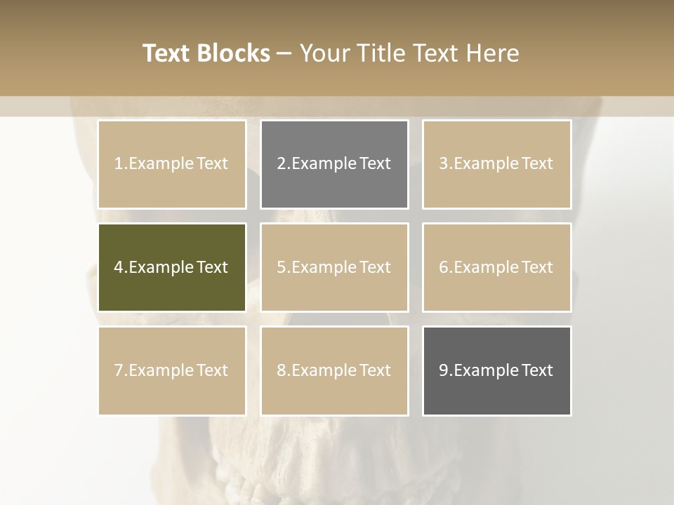 Human Skull PowerPoint Template
